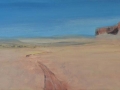 13-Petrified_Dunes_in_Namibia